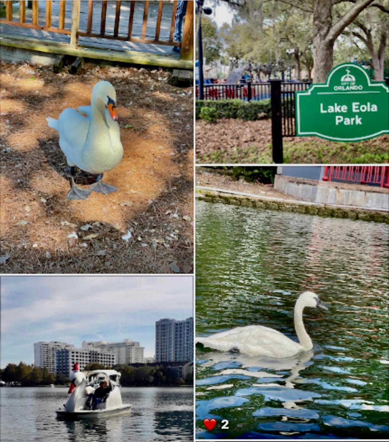 Happy Place Orlando Bagian luar foto